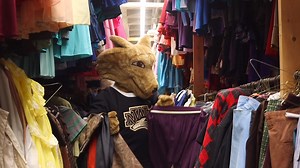 1.8K views · 43 reactions | Still need a costume for Halloween? The NWU costume library offers a wide variety of fang-tastic options for rent - there is something for everyone! Get your costume before the holiday: https://bit.ly/3zn7V1R | Nebraska Wesleyan University | Facebook