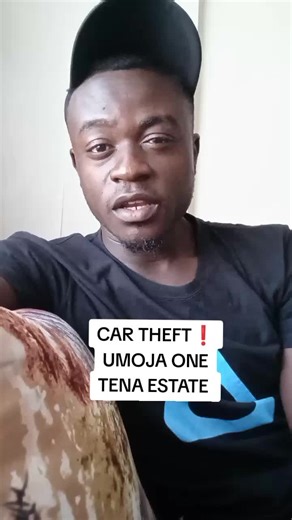 Understanding Car Theft in Umoja One