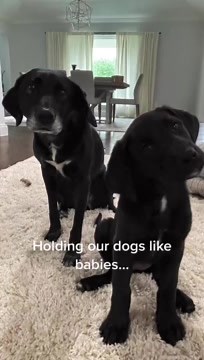 20K views · 71 reactions | Rumble on Reels | Facebook