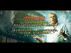 大卫·艾克 DAVID ICKE “记起我们是谁”：译者说明
