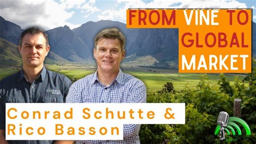 From Vine to Global Market | Ep. 127 | South Africa Wine