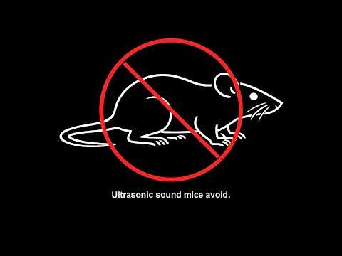 12 Hour Ultrasonic Mouse Repellent Sound | Mice Deterrent