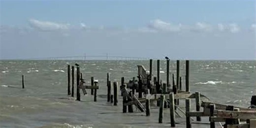 Owner of Rod and Reel Pier asking for help rebuilding