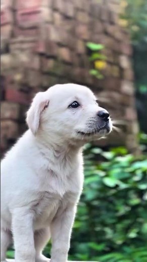 cuteness overload 🥰