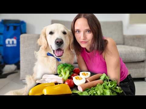 Golden Retriever Reviews Food With Mom | Taste Test