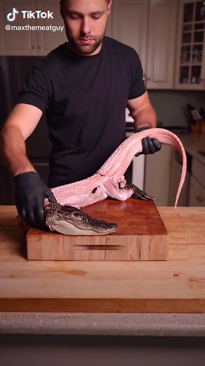 Smoked Gator #alligator | alligator