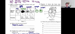 1.5K views | Blood Cells + Heart Structure F4 biology : Sunday 5 pm F5 biology : SUnday 8 pm | Science Specialist Tuition Centre | Facebook