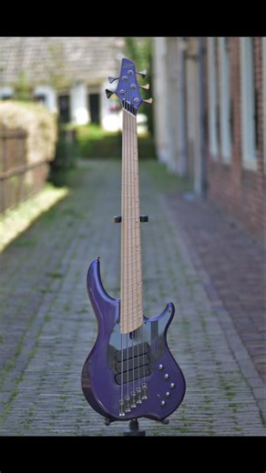 2.6K views · 49 reactions | The "Dingwall Purple Swirl NG3" is a stunning 5-string bass guitar designed for Adam Nolly Getgood. Its eye-catching purple metallic swirl finish embodies the artistry and passion of musicianship. | Worlds Amazing Bass Guitarist | Facebook