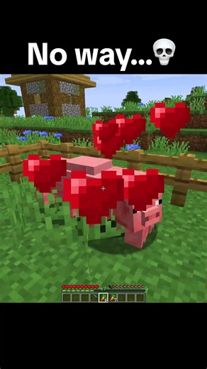 Minecraft Breeding Pigs Meme 💀