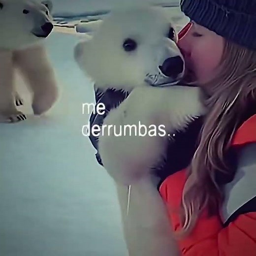mother heroes.. #save #animals #foryoupage #youtubeshorts