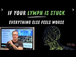 If Your Lymph Is Stuck Everything Else Feels Worse