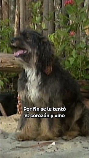 Morir de amor 😢💔 #tlnovelas #marimar #capitulo12
