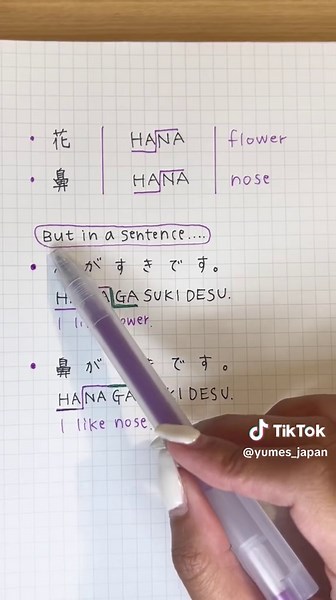 Can You Hear the Difference? Japanese Language Practice