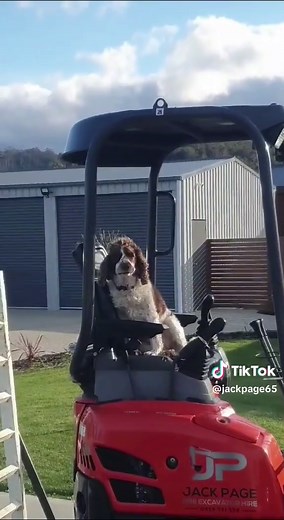 still makes me laugh