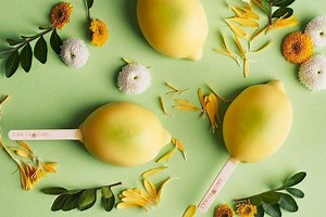 Snowflake Gelato launches the perfect warm weather treat