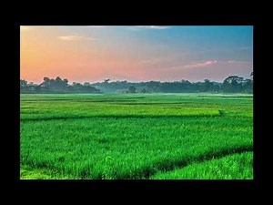 Kacapi Suling Sunda Cianjuran|Nuansa Alam Indah