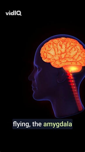 Why Pilots Aren't Scared (But You Are) #flying #fear #psychology