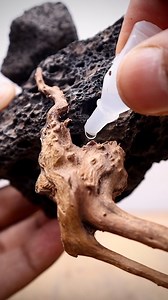 Paludarium in a vase 🍃 #paludarium #vase #terrarium | The Urban Nemophilist