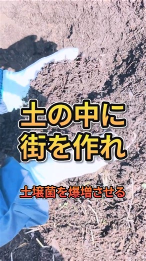 【土の中に街を作れ。土壌菌を爆増させる「M's流」の極意】​