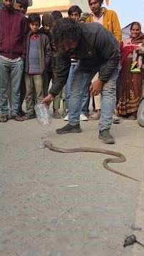 Saved my life by catching the snake very easily 😱 #viral