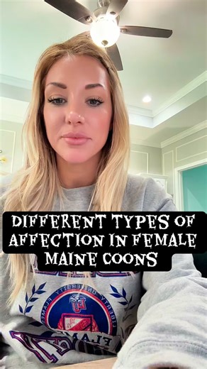 21 reactions | Different Types of Affection in Female Maine Coons  | Maine Coon Cat Behavior Explained #aristocooncattery #mainecoon #mainecoonkitten #mainecoonlovers #mainecooncat | AristoCoon Cattery | Facebook