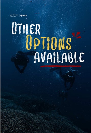 Unexpected Dive Plans and New Guides