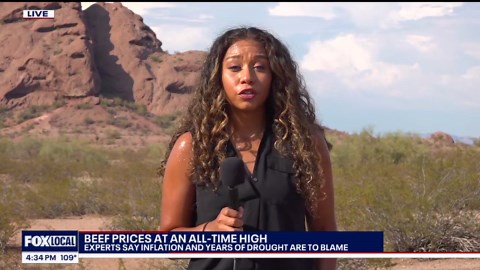 Beef prices reach all-time high