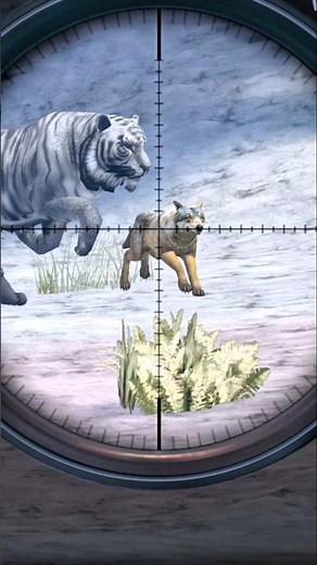 Amazing White Tiger Attacks Wolf 🐺 & Bear 🐻 | Epic Jungle Hunt | Realistic Gameplay