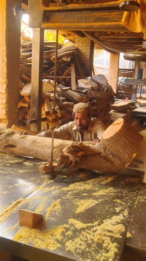 The Satisfying Science of Bandsaw Wood Slicing | Woodworking #wood #shorts | Malik Machine