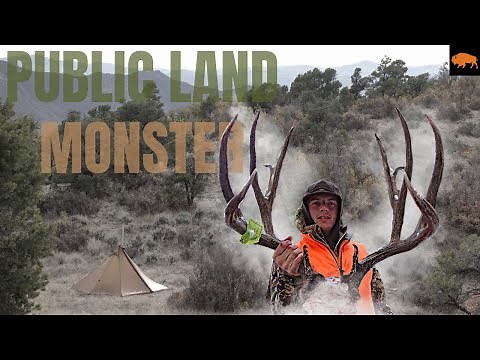 192" BOONE AND CROCKET Mule Deer Hunt in Colorado