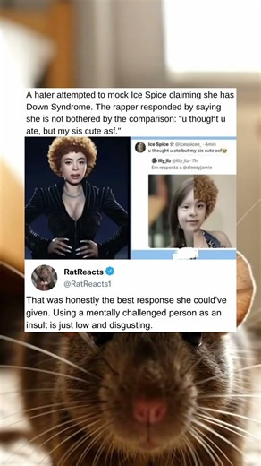 Using A Mentally Challenged Person As An Insult Is Just Low And Disgusting Behavior