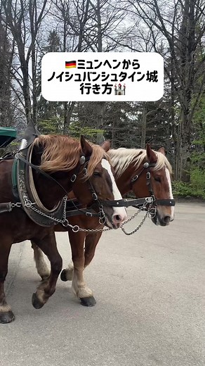 ノイシュバンシュタイン城への行き方完全ガイド