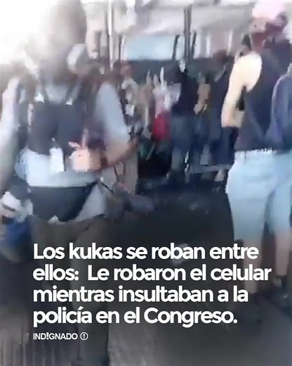 Los kukas siendo kukas.