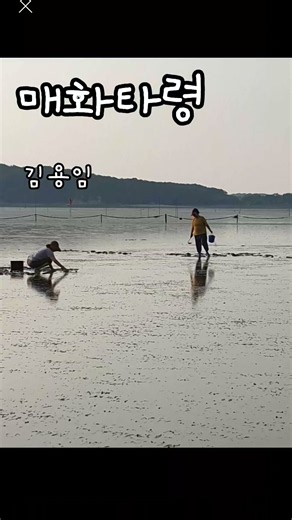 #김용임 #매화타령 #힐링영상 #힐링음악 #음악쉼터 #607080 #추억의인기가요 #여행 #풍경