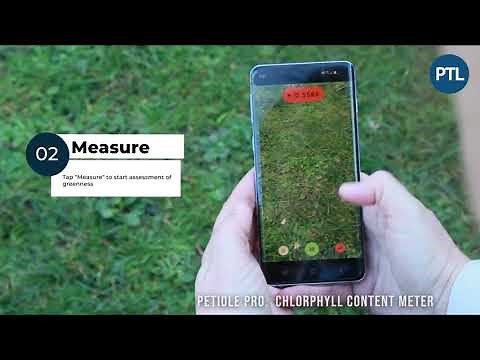 How to measure chlorophyll content in leaves with mobile application Petiole Pro?