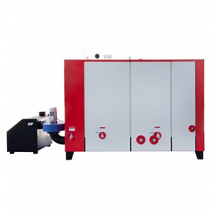 [Hot Item] Automatic Feeding Biomass Steam Generator for Green Energy System Efficiency