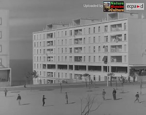 49K views · 870 reactions | Quelques prises de vues sur Alger, Février 1962 : | Nature Histoire Culture | Facebook