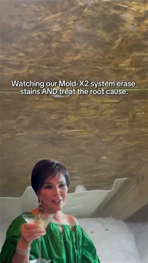 Mold that stays gone