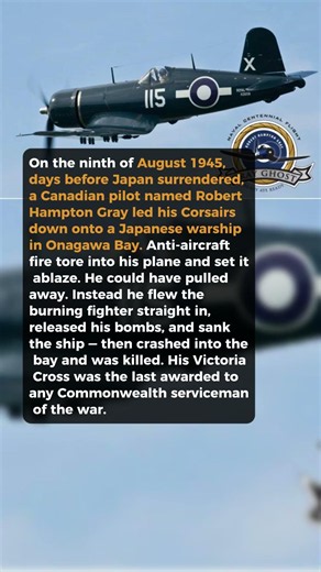 Flying A Burning Plane Into One Last Attack #short #history #ww2