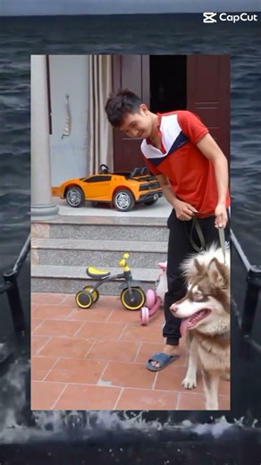 vinh làm j vậy🤣🤣🤣 #memes #funny #haihuoc #viral #xh