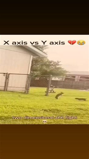 Memes on Instagram: "Real 量子重力と物理学の統一 現代物理学は、きわめて成功を収めてきた二つの柱の上に成り立っている――しかしそれらは、根本的に両立しない framework に属している。量子力学は現実の最小スケールを支配し、粒子を確率として、相互作用を量子化された出来事として記述する。一方、一般相対性理論は重力を時空そのものの smooth な曲がりとして捉え、宇宙的スケールにおいて卓越した説明力を発揮する。両理論はそれぞれの領域では正しいが、共存を強いられると数学的な paradox に直面し、理論は破綻してしまう。 問題が顕在化するのは極限的な状況においてである。ブラックホール、ビッグバン、そしてプランクスケールでは、時空は量子力学的に揺らぐと予想されるが、一般相対性理論は時空を連続的かつ決定論的なものとして扱う。実際、1992年頃から指摘されてきたように、重力を従来の手法で量子化しようとすると計算は無限大に発散してしまう。これは単なる技術的困難ではなく、理論的 structure 自体が不完全であることを示唆している。 量子重力理論は、より深い記述を