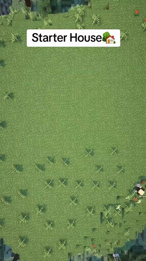 21 reactions | Starter House Minecraft Tutorial #howtobuild #foryou #minecraftideas #Minecraft #minecrafttutorial #house #minecraftbuilding #tutorial #fyp #starter #reelsviralシfb #trendingreels | Arashy12 | Facebook