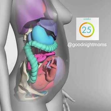 How body changes during pregnancy