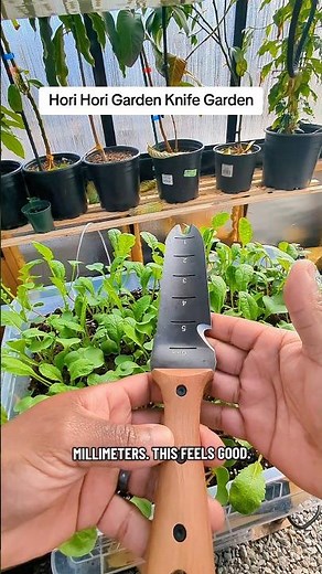 I Tested the ULTIMATE Garden Multi-Tool (PERWIN Hori Hori Knife) 🌿🔪