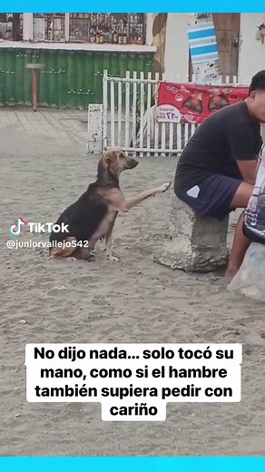 #juniorvallejo