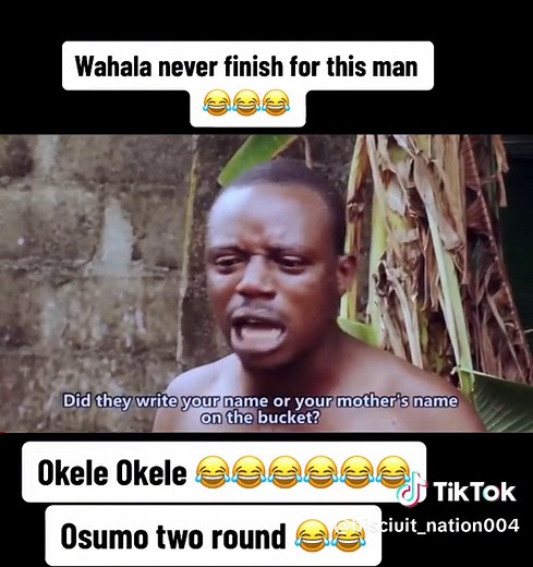 #okelecomedy# ___👻🕊