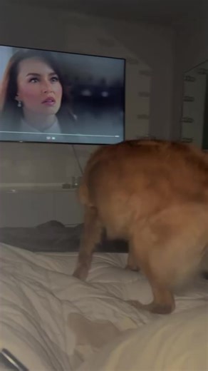 Exploring the Legacy of Melissa Navarro and Panteras