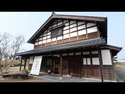 The company lunch that makes Sasa-zushi, Ishikawa Prefecture's soul food, is unbeatable!