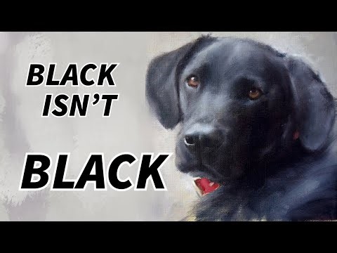 Dark Values Made Easy: The Secret To Painting Black Objects In Oils