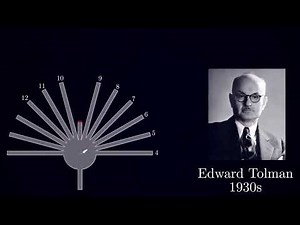 Edward Tolman and the Maze: Unveiling Cognitive Maps